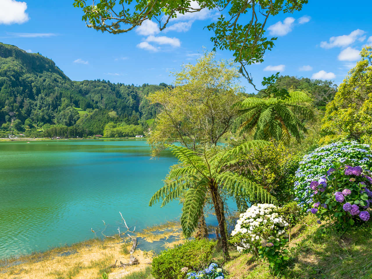 Lagoa das Furnas, Sao Miguel, Azoren