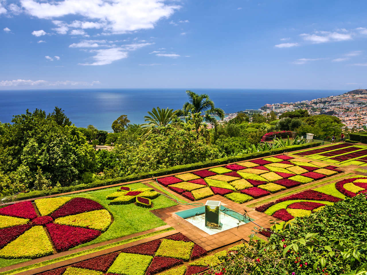 Ein Garten mit bunten Mustern am Meer
