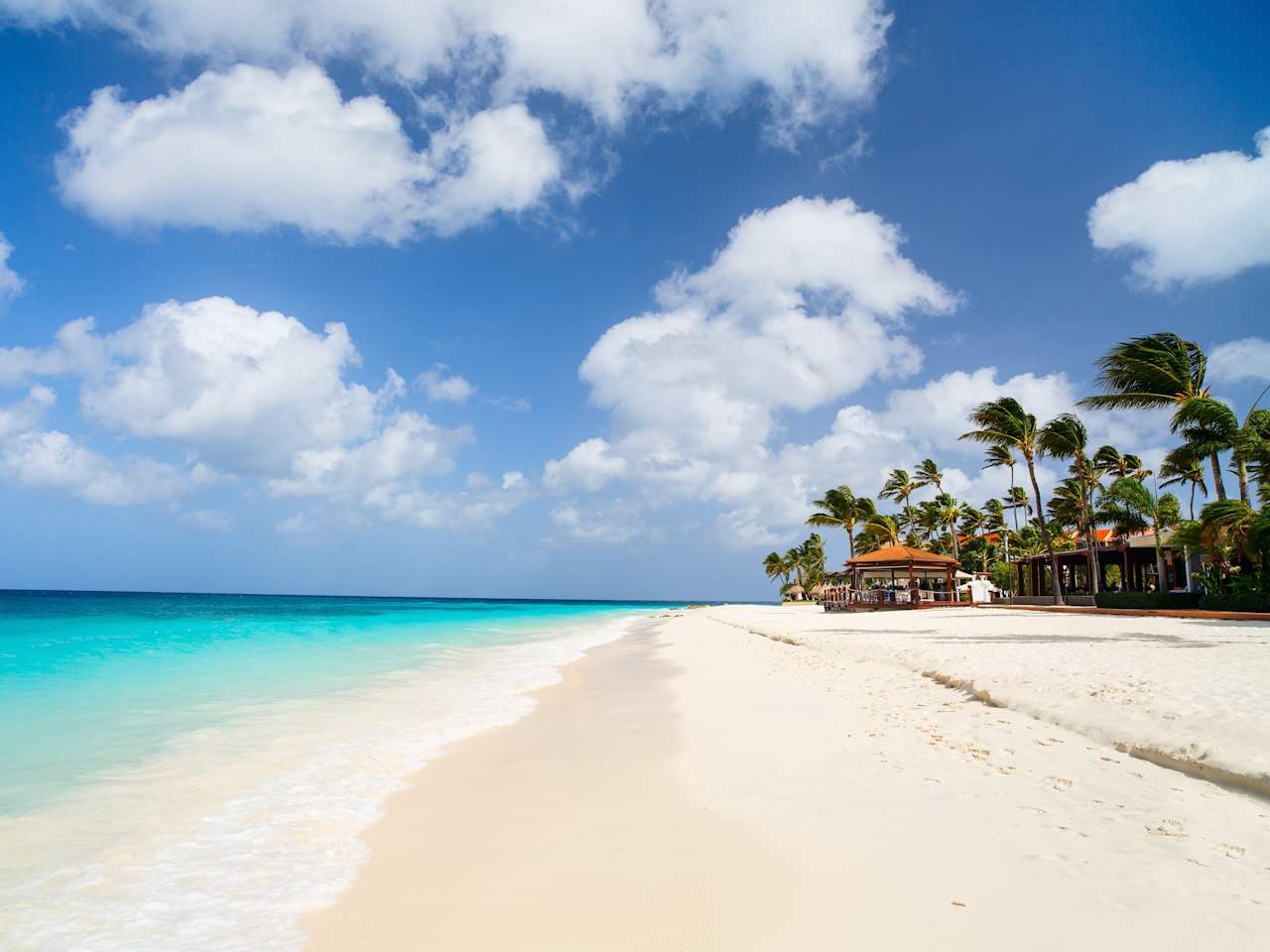 Weißer Sandstrand mit Palmen auf Aruba, Karibik © Shutterstock