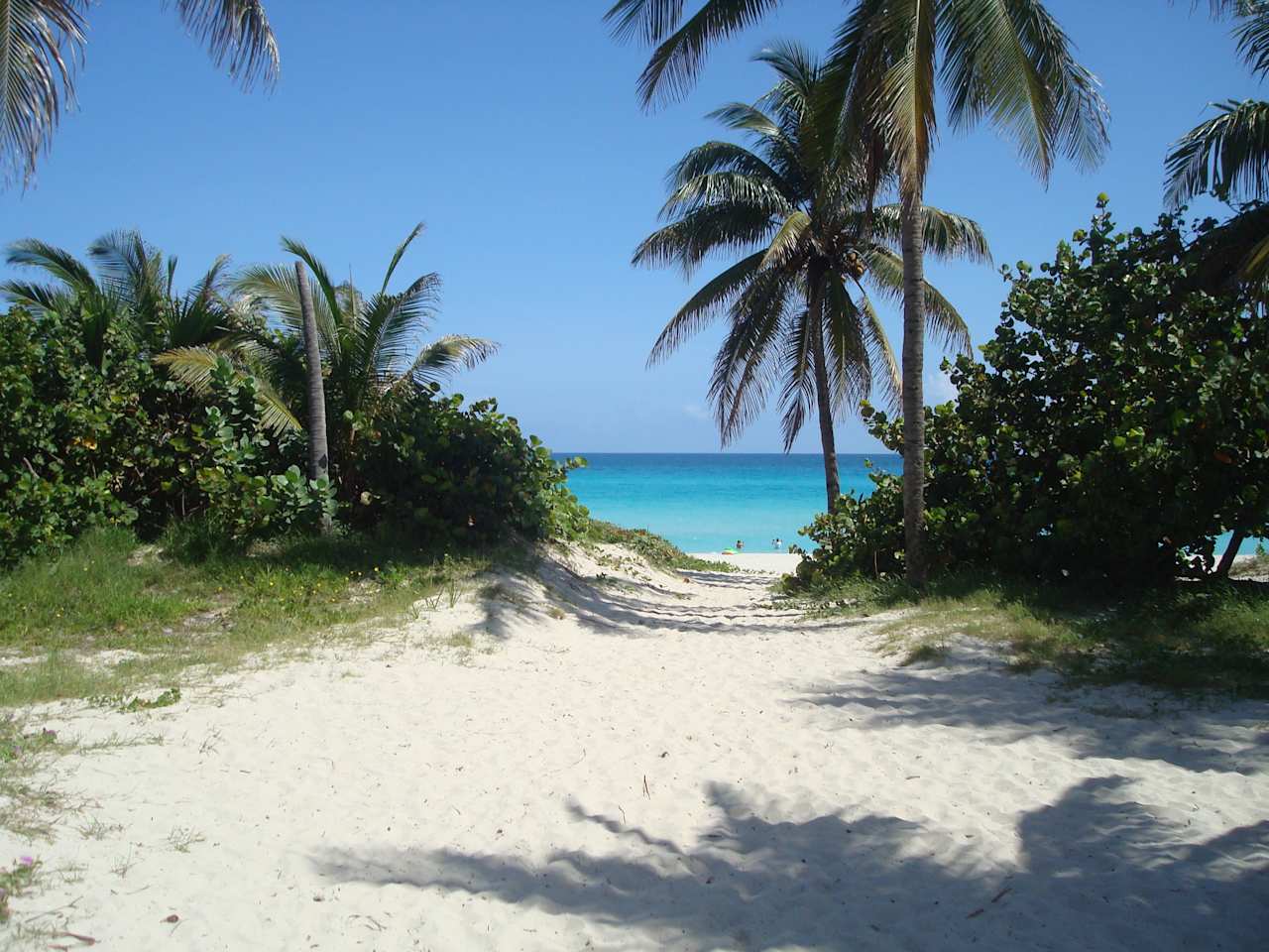 Scenic View Of Sand Against Sea