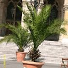 wien45