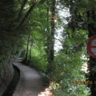 olleschwarzemietzekatze