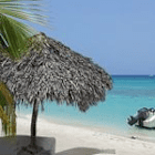 Punta.Cana.Fan140