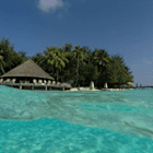 Sissy4433
