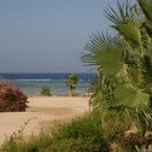 mueds