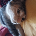 jacky0194