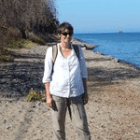 hierbas