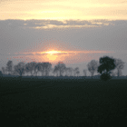 SunLiz