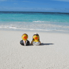 Schnaeppchenjaeger156