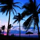 Paradies222