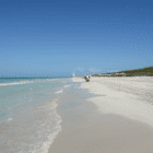 cayo16