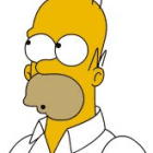 HomerS