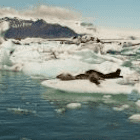 LavaOnIce