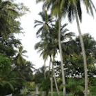SriLankaHolidays