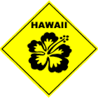 hawaiigirl