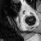 deJenny