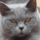 Susanne95326
