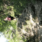 bine26