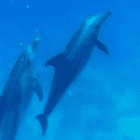 Nadine + Christopher