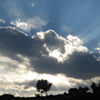 brigitte13sonne