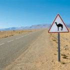 Sarahohnesonderzeichen