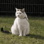 edvauditcons_holidaycheck