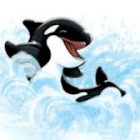Shamu--