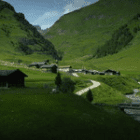 Ascholding