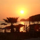 Holidaymaker16