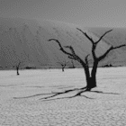 Afrika49