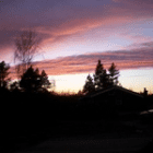 ullihin