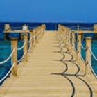 alexander.hochhalter