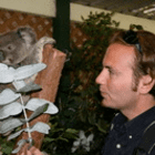Kiwiguide