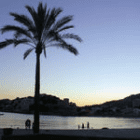 Paguera para siempre