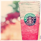 Queen_of_Charmanders