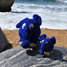 quincy_81