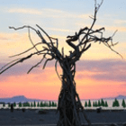 Jan_und_Christina246