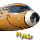Flybär