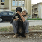 ReiseDog