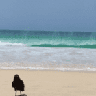 Urlauberin.41