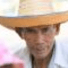 siam-forum
