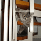 andy_mona.mueller@web.de