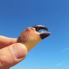 stefan_loves_holiday