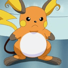 Raichu44