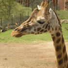 MelanieSonnenschein87