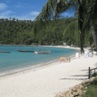Samui-Felix