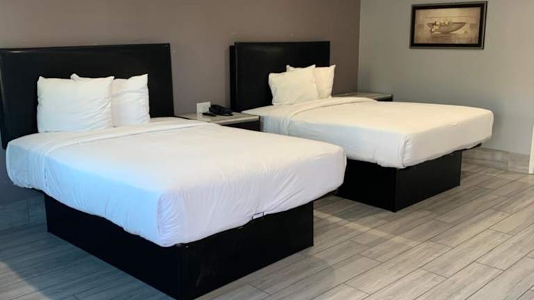 Sun Tree Inn Willow Tree Inn & Suites (Los Angeles): Alle Infos zum Hotel
