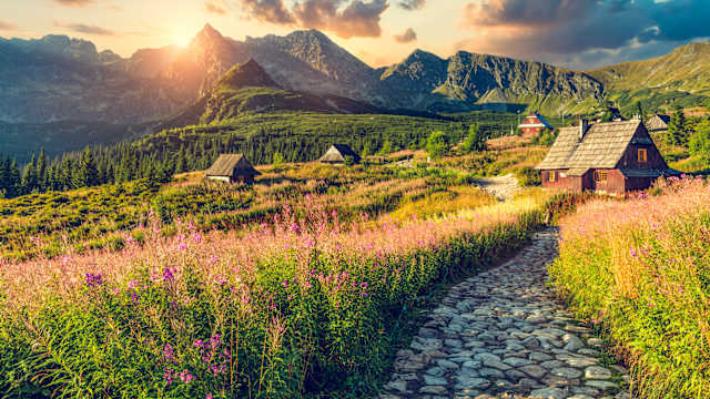 Ein steinerner Pfad führt durch eine hohe Blumenwiese. Entlang des Pfades stehen ein paar Holzhäuser. Im Hintergrund erhebt sich ein Gebirge.