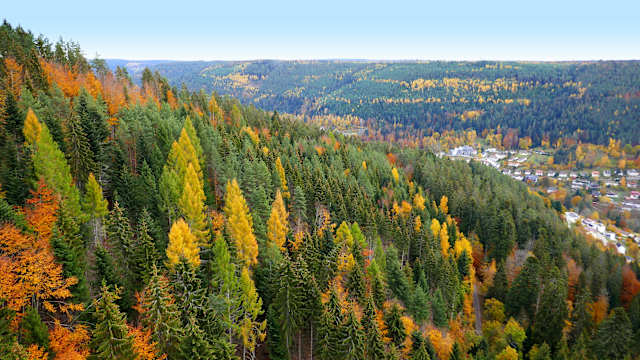 Bad Wildbach im Schwarzwald © globetrotter1 – stock.adobe.com