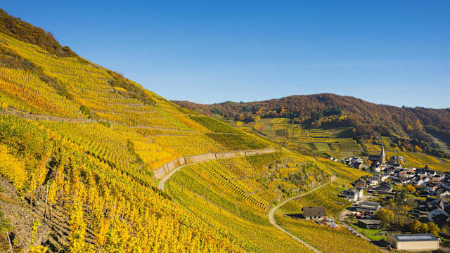 Blick auf die Weinbaugebiete, mit einem kleinen Dorf in der Eifel.